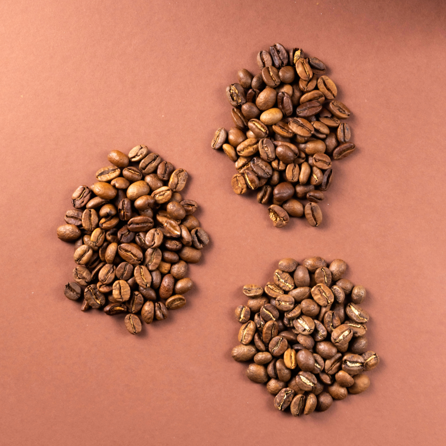 Café Geisha Colombia – Pack 250g y 1kg disponibles | Mula Andina Café