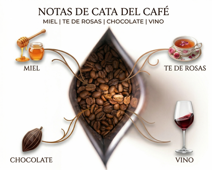 Café Bourbon Rosado – Taza preparada con notas de vino y chocolate | Mula Andina Café