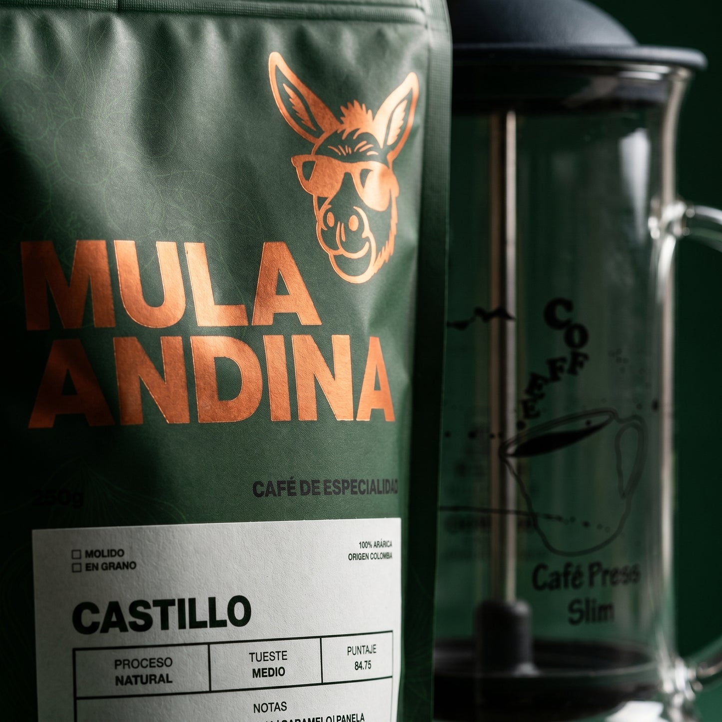 Kit Castillo + Prensa Hario – Detalle bolsa café y prensa 240ml | Mula Andina Café