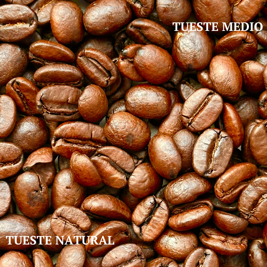 Café Geisha COLOMBIA