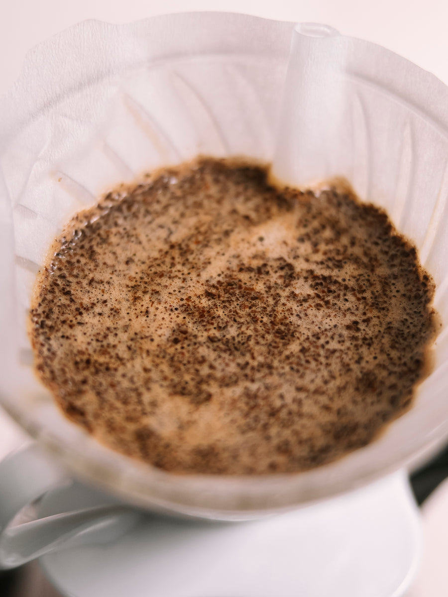 Café de especialidad filtrándose en un Hario V60 visto desde arriba — Mula Andina Café